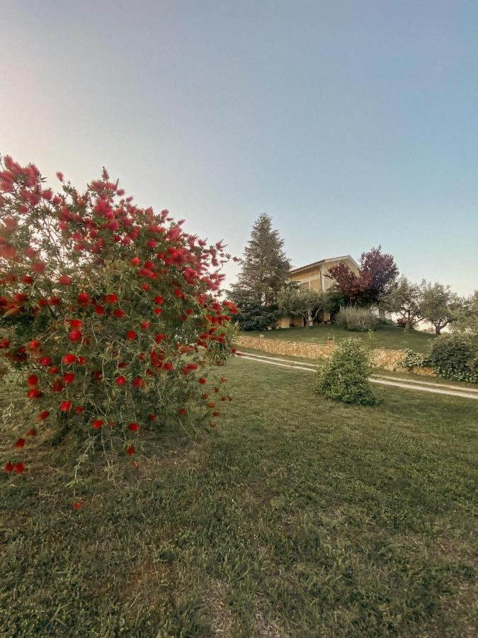 Bed & Breakfast Le Coccinelle Rosciano (Abruzzo) Exterior foto